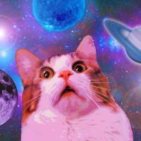 Funny Ai Cat